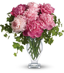 Perfect Peonies Cottage Florist Lakeland Fl 33813 Premium Flowers lakeland